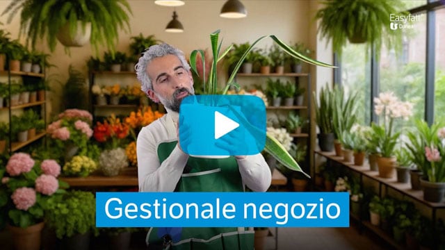 EasyFatt Gestionale Negozio